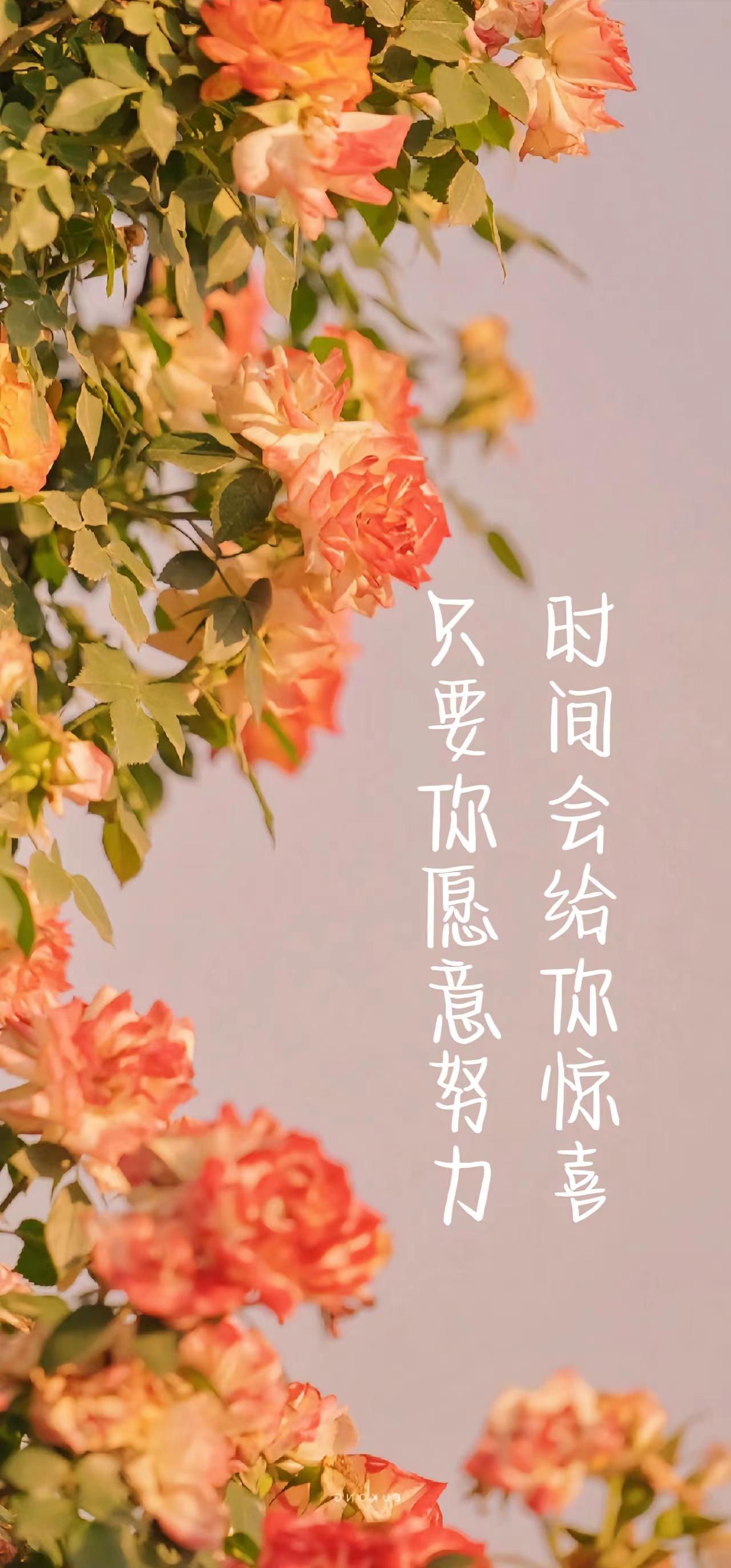 自带光芒说说句子（温柔且治愈的句子）