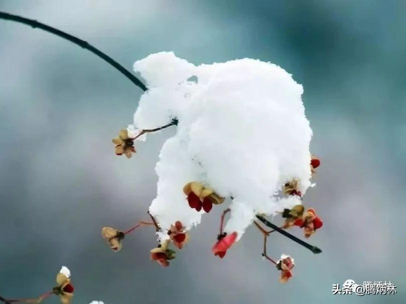 瑞雪兆丰年谚语有哪些（经典的小雪谚语，俗语不俗）