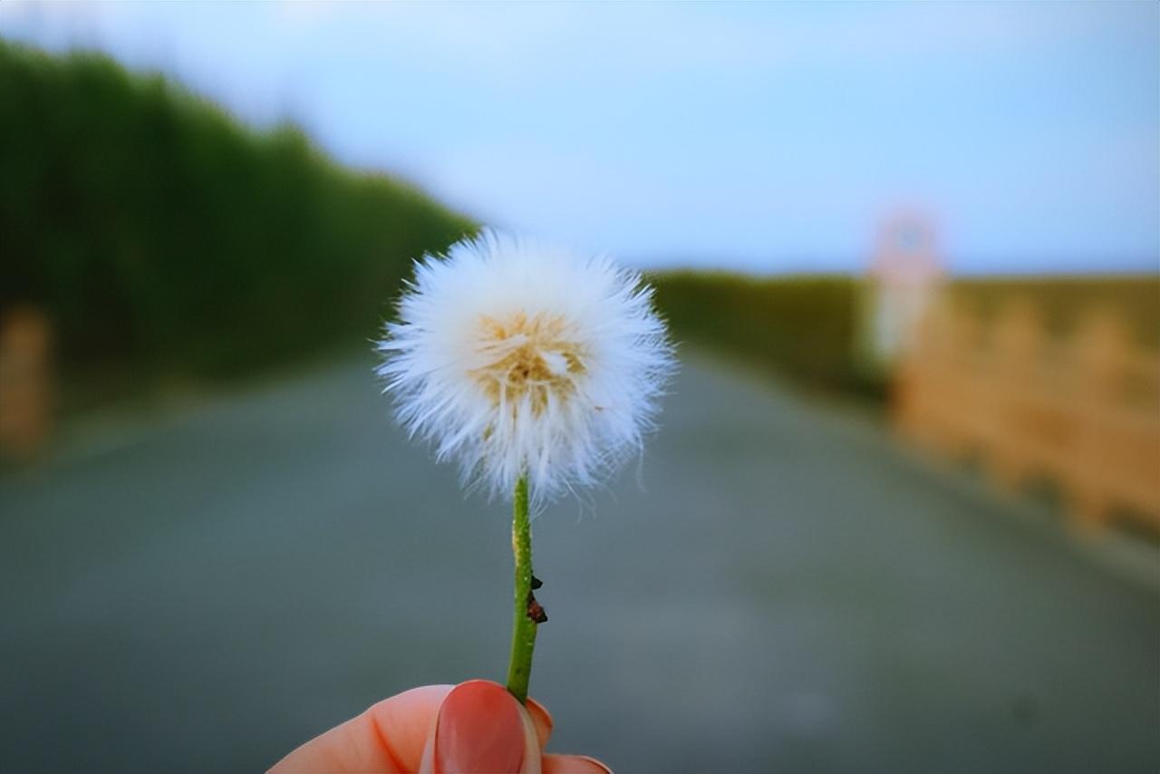 人间小满经典句子摘抄（治愈系好书《人间小满》）