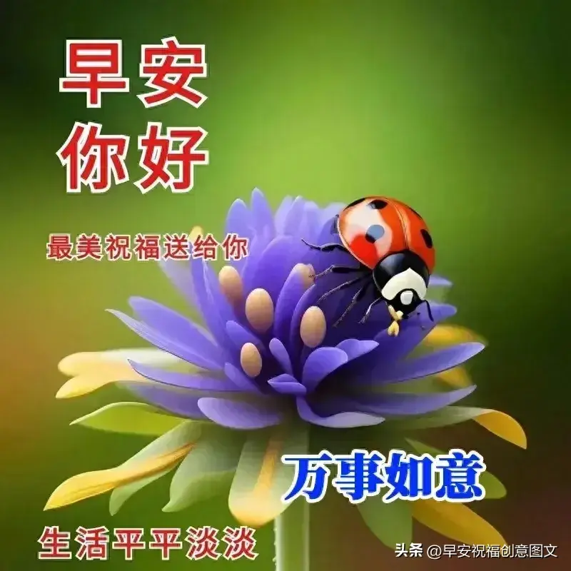 平安祝福语大全（清晨祝福语暖心句子集锦）