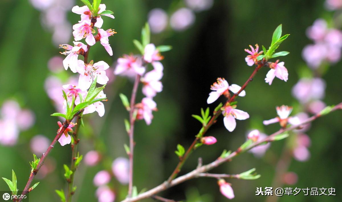 对初恋说的最感动句子诗句（白居易写给初恋的那些诗）