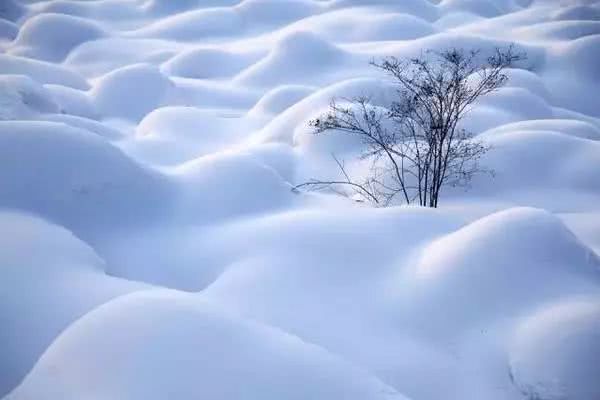 欣赏雪景的句子大全（冬日赏雪，这十句写雪的名诗，不可不知道）