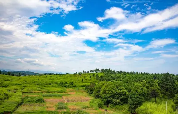 积极阳光的心态句子：人生的帆，不怕狂风巨浪，只怕自己没胆量