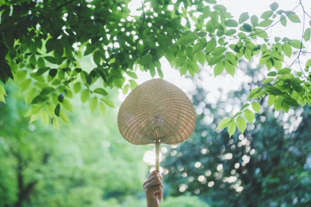 赞美孩子天真烂漫句子，10首童趣诗