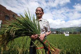 袁隆平爷爷去世作文（写给亲爱的袁爷爷）